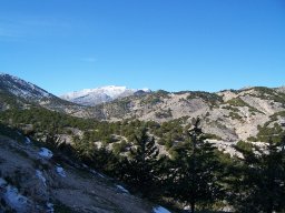 Castillo de Velez-Blanco 2010